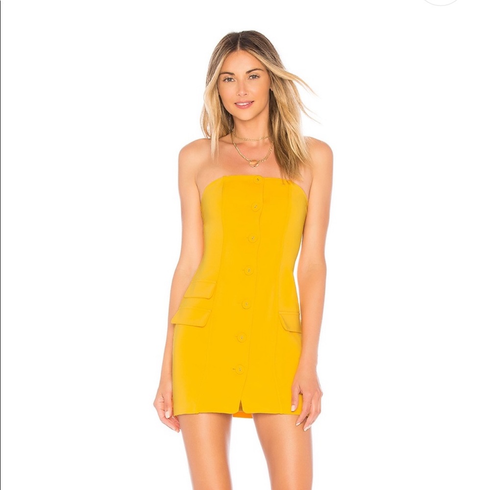 COPY - NWT Revolve Privacy Please Teegan Mini Dress